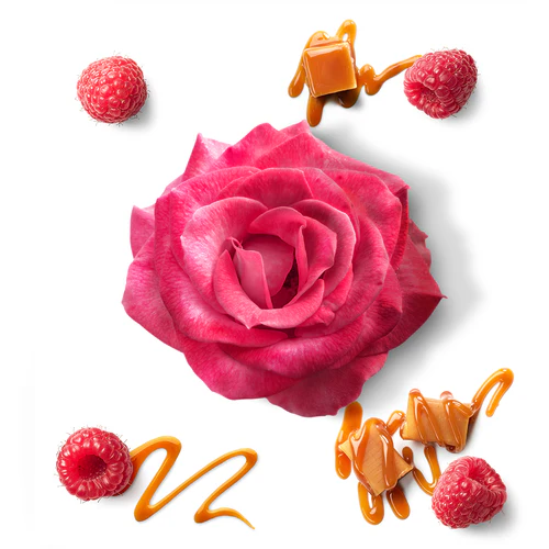 Mauboussin A la Folie