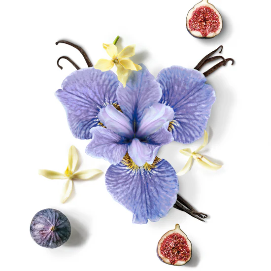 Coffret Mauboussin Star