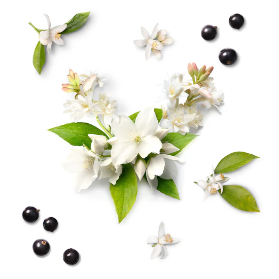 Coffret Mauboussin My twist