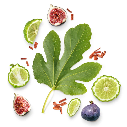 Maubousssin Une Histoire D'Homme Irrésistible