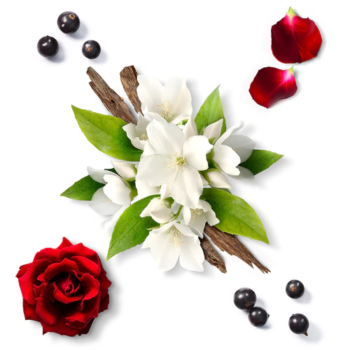 Mauboussin Elixir Pour Elle