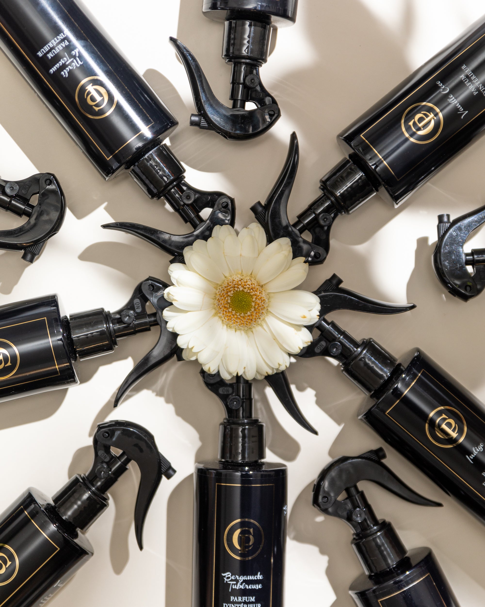 Parfum d'intérieur Coton Soyeux