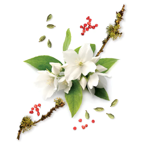 Mauboussin Discovery