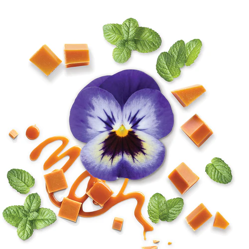 Coffret Mauboussin Pour Lui In Black